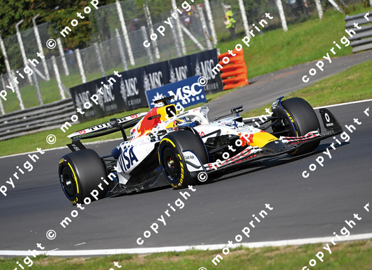 2025 Izak Hadjar Racing Bulls GP Italy  (courtesy Paolo D'Alessio)