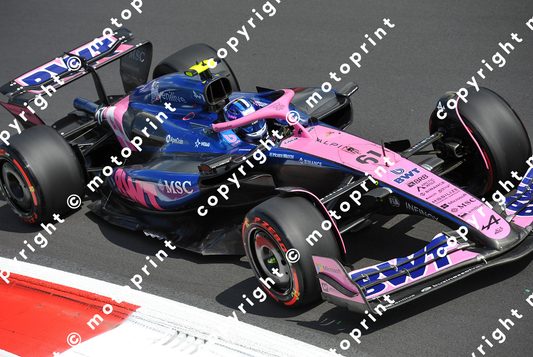 2025 F.Colapinto Alpine GP Italy (courtesy Paolo D'Alessio)