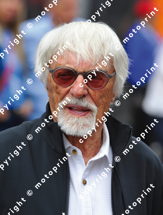 2025 Berbie Ecclestone portrait (courtesy Paolo D'Alessio)