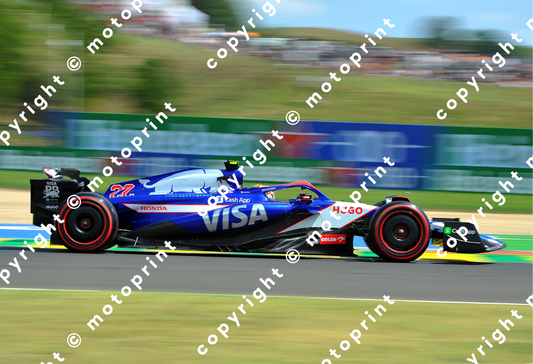 2024 Y.Tsunoda Alpha Tauti GP Hungary (courtesy Paolo D'Alessio)