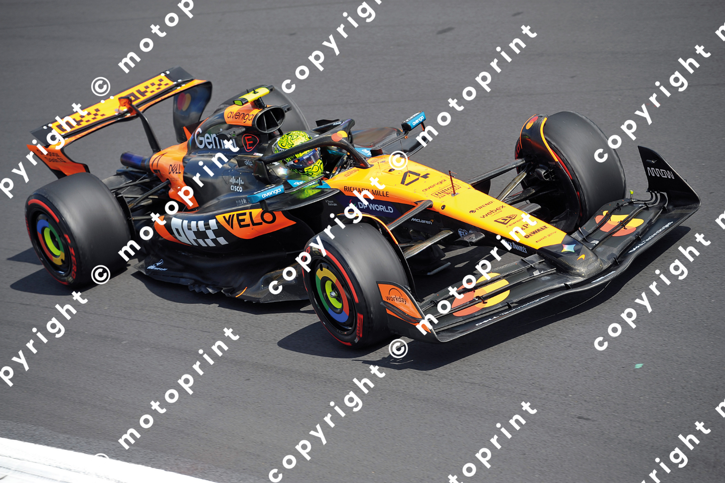 2025 L.Norris McLaren 2025 WorldChampion (courtesy Paolo D'Alessio)