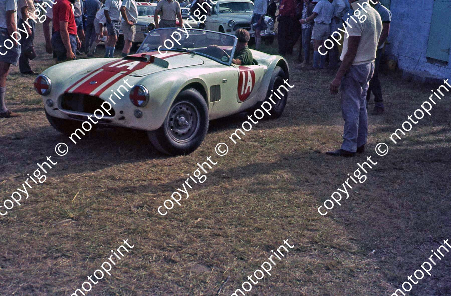 a 066 1963 SA GP support race Cobra Whitmore