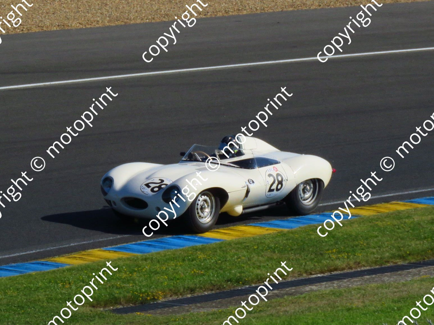 grid 2 28 Jag D-type Gary Pearson, Carlos Monteverdi Sat pm  (6)