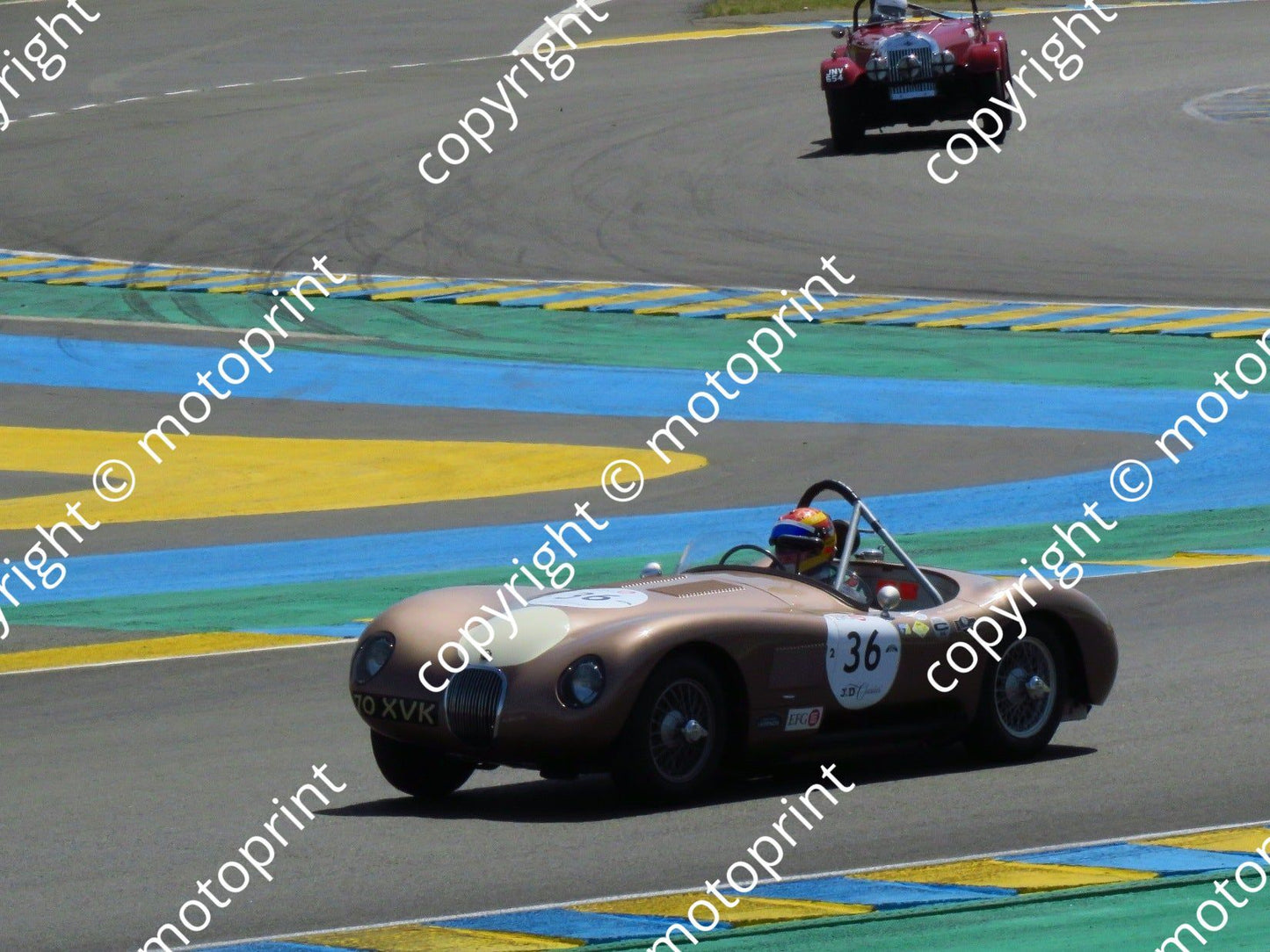 grid 2 36 Jaguar C-type Chris Ward prac (2nd in race) (19)