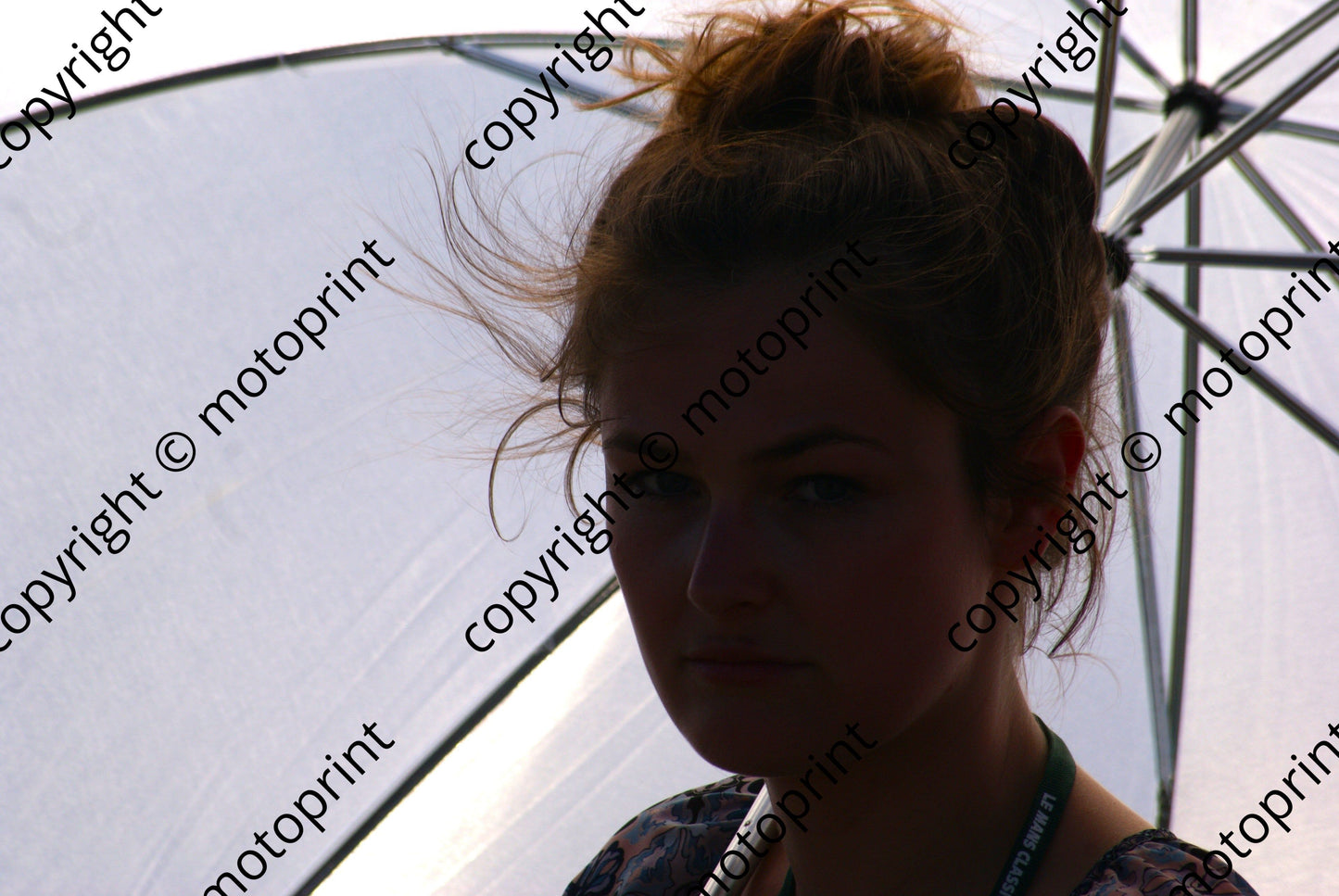 grid 3 Belgian bird in group DP met Sat pm (1)