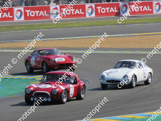 grid 4 3 Shelby Cobra 289 Michael, Peter Hinderer 81 Alfa 20 Ferrari 275GTB prac (11)