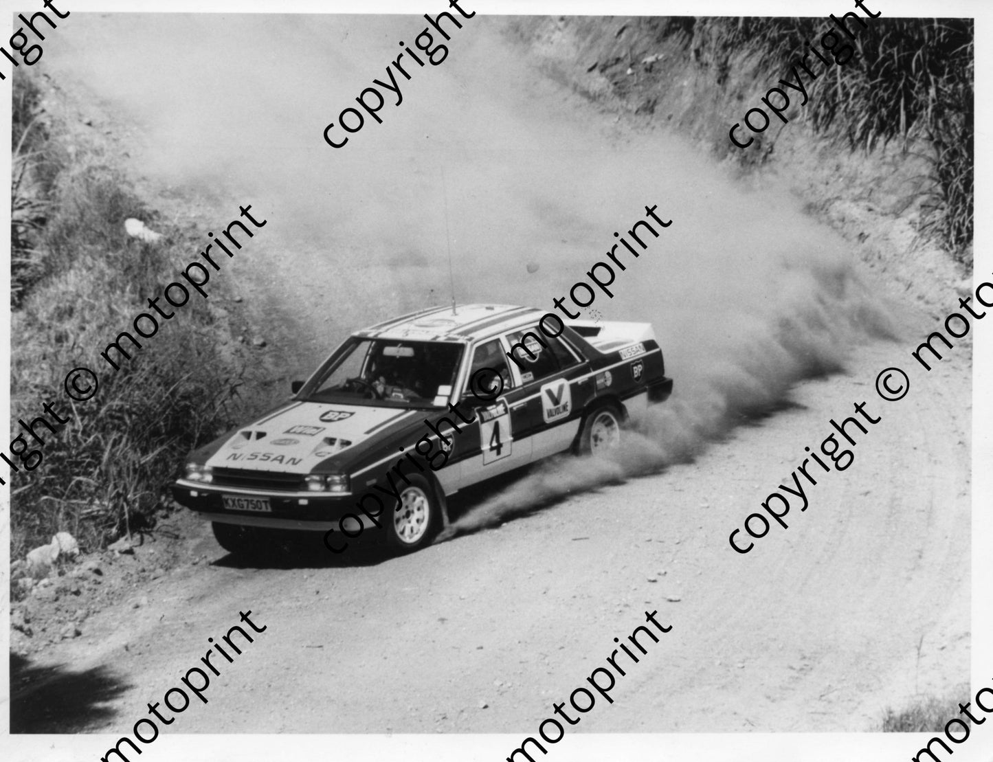 or 1987 Coetzee Harrington Skyline 050